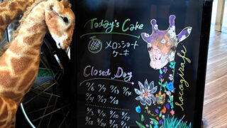 7月/8月のロコジラフ定休日